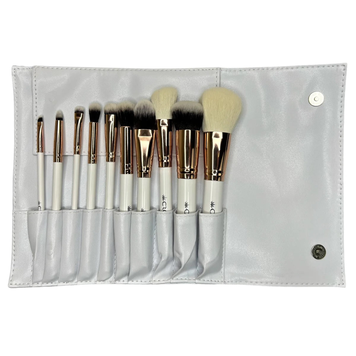 10PC PRO BRUSH SET