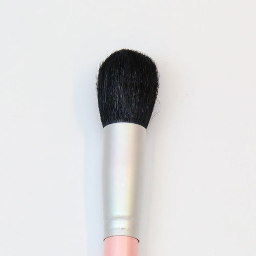 PP2 Unique Pointed Dome Brush - Crownbrush